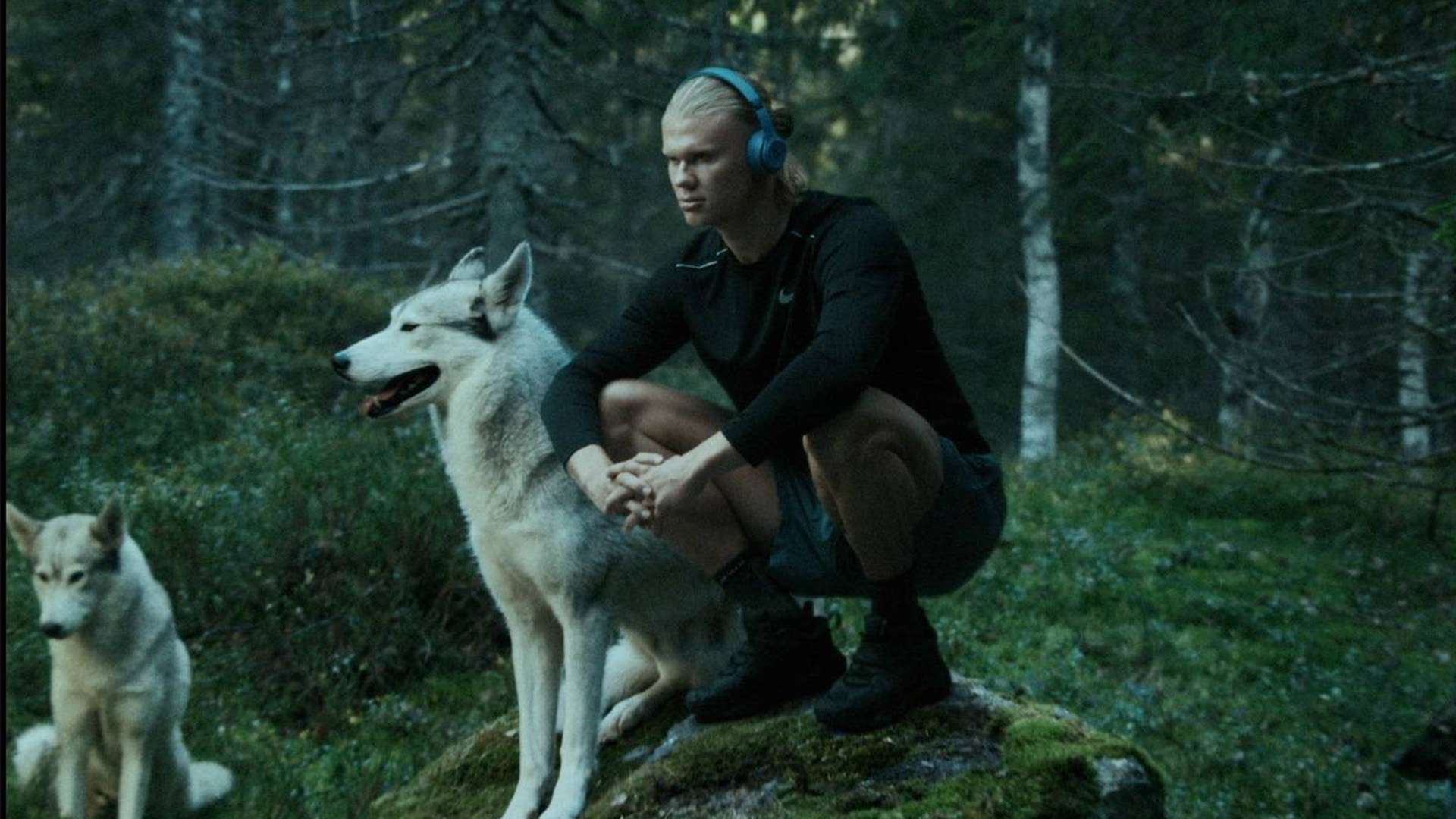 仅仅是两队 仅仅是两队