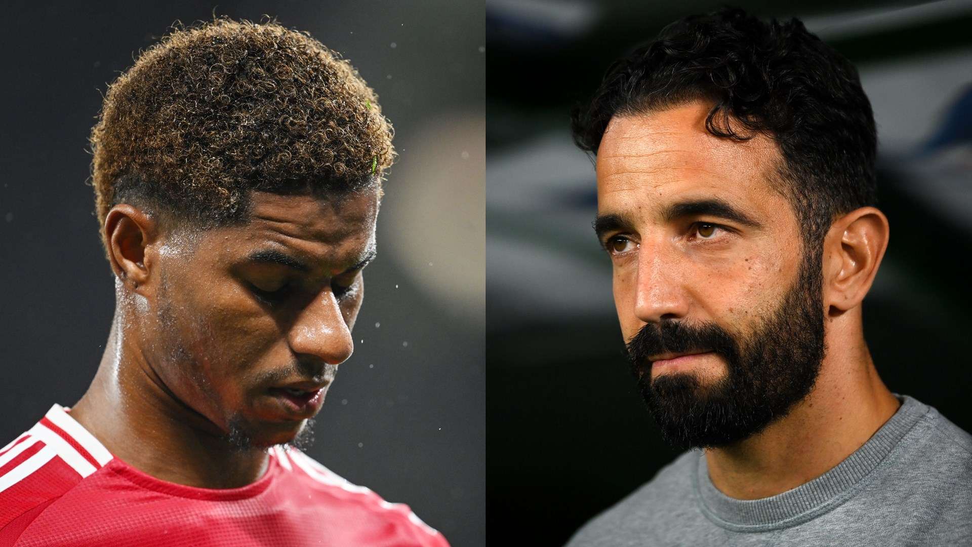 的团队协作 的团队协作